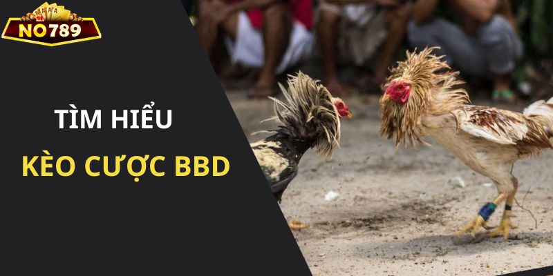 Cửa cược BBD với mức cược hấp dẫn